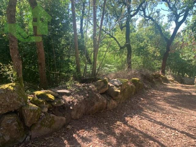 Terreno venda em Póvoa de Lanhoso (Nossa Senhora do Amparo), Póvoa de Lanhoso
