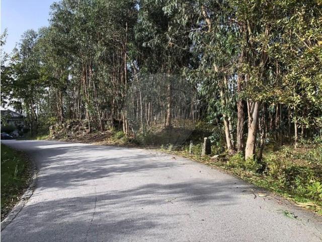 Terreno venda em Ferreiros, Póvoa de Lanhoso