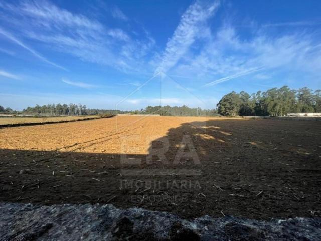 Terreno venda em Póvoa de Varzim