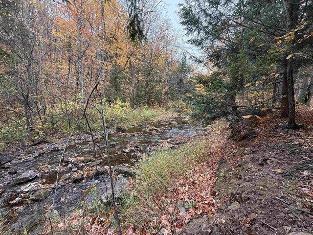 Land for sale in Bessemer, Gogebic County