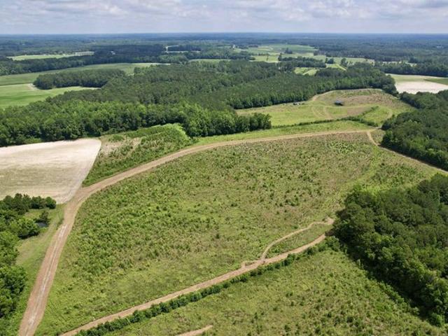 Land for sale in Green Sea, South Carolina