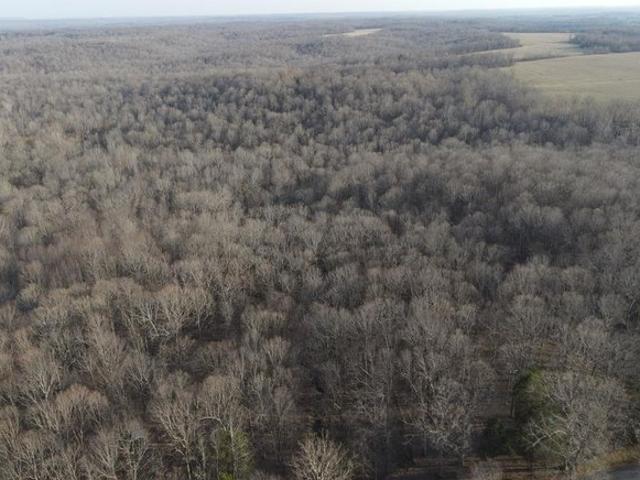 Land for sale in Saint Charles, Kentucky