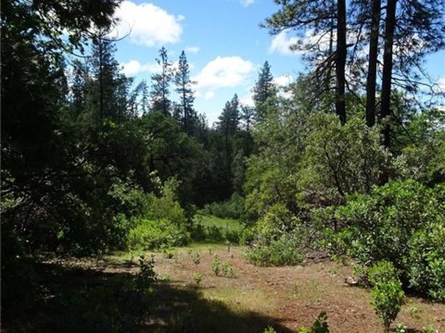 Land for sale in Butte, California