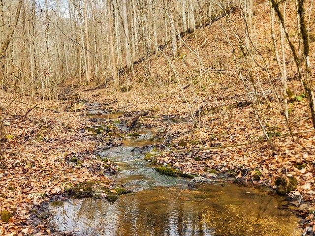 Land for sale in Tennessee