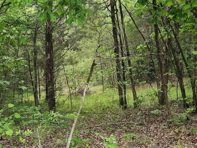 Land for sale in Ark