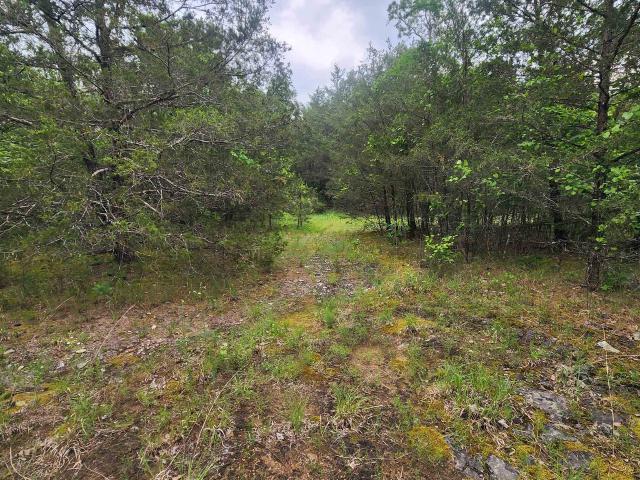 Land for sale in Evening Shade, Sharp County
