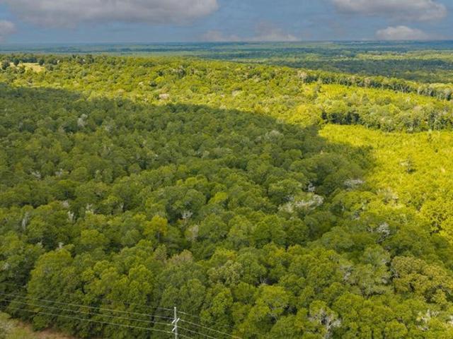 Land for sale in Newton, Dale County