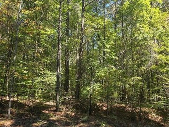 Land for sale in Walnut Cove, Stokes County