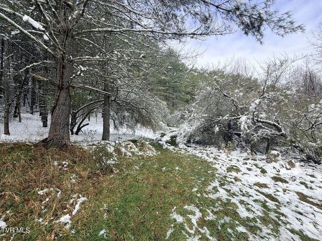 Land for sale in Virginia