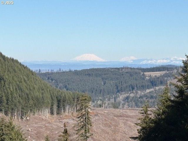 Land for sale in Silverton, Marion County