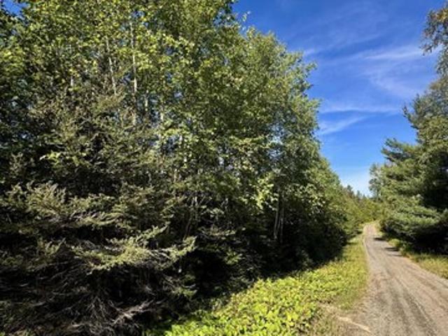 Land for sale in Hovland, Minnesota