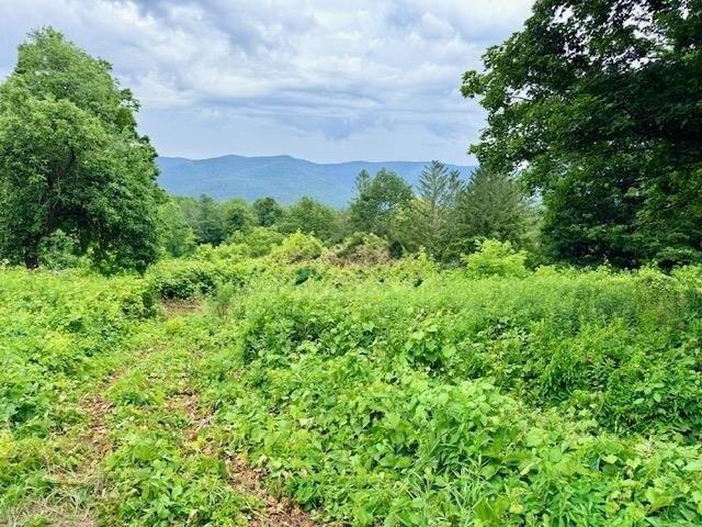 Land for sale in Bennington, Vermont