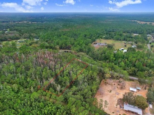 Land for sale in Polk City, Florida