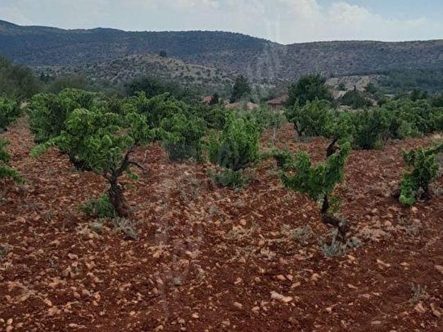 Poyrazlı, Bekilli içerisinde satılık mülk
