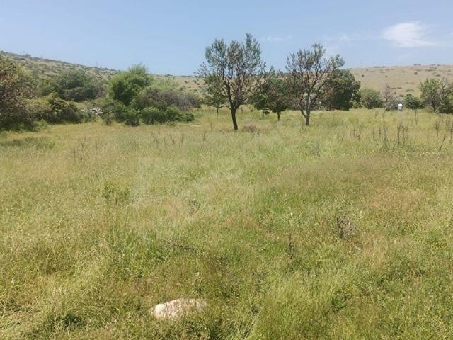 Poyrazlı, Bekilli içerisinde satılık Arsa