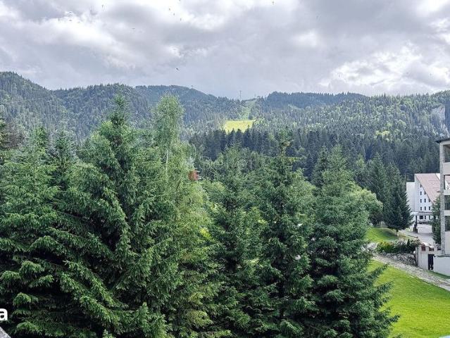 Garsonieră închirieri în Poiana Brasov, Brașov
