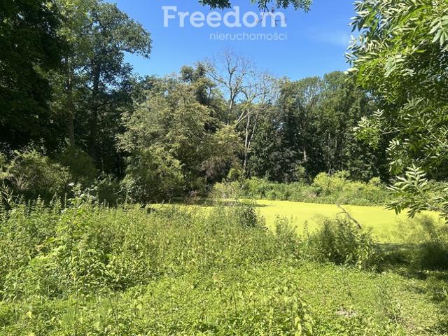 Komercyjne na sprzedaż w Poznań, Wielkopolskie