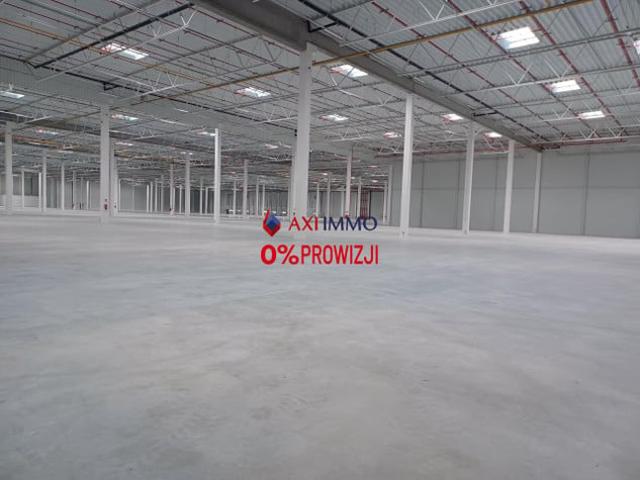 Komercyjne do wynajęcia w Poznań, Wielkopolskie