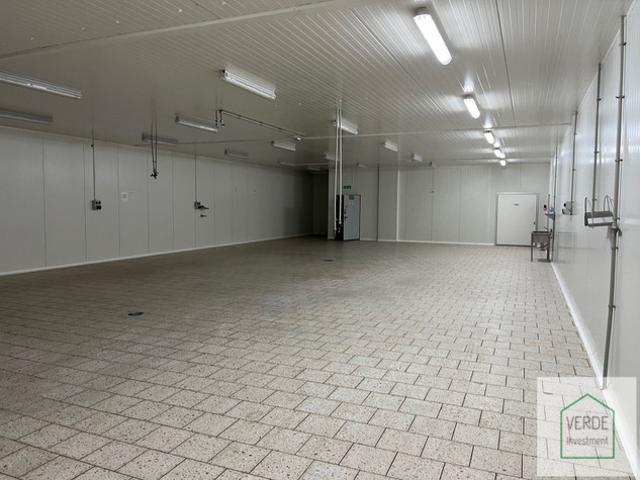 Komercyjne na sprzedaż w Poznań, Wielkopolskie