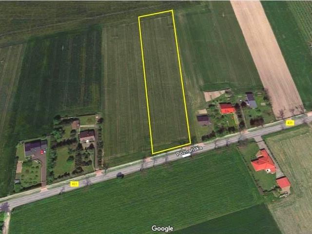 Grunt na sprzedaż w Modrze, Wielkopolskie