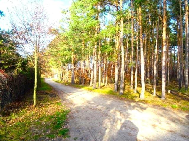 Grunt na sprzedaż w Borówiec, Wielkopolskie