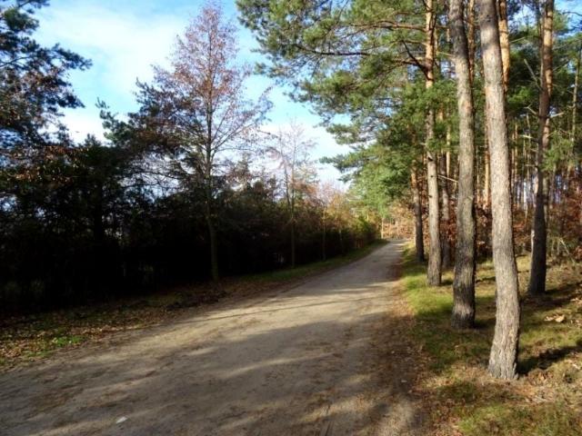 Grunt na sprzedaż w Borówiec, powiat poznański