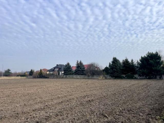 Grunt na sprzedaż w Chludowo, Wielkopolskie