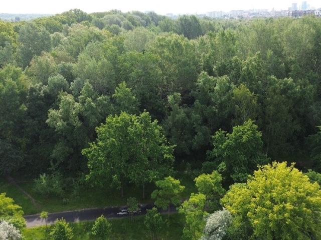 Grunt na sprzedaż w Poznań, Wielkopolskie