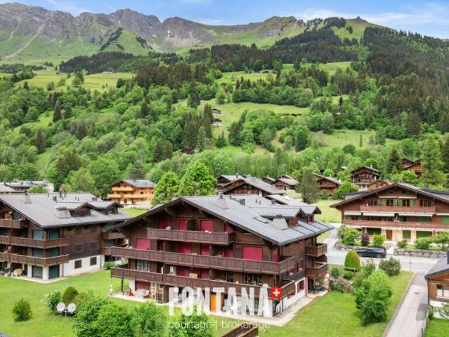 Wohnung kaufen in Ormont-Dessus, Waadt