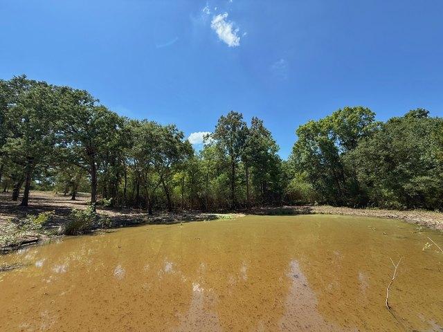 Land for sale in Leon, Texas
