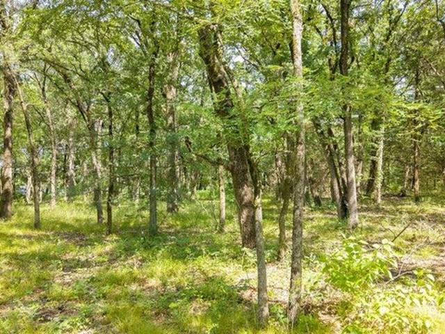 Land for sale in Fannin, Texas