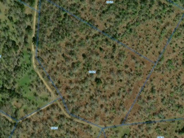 Land for sale in Nixon, Texas