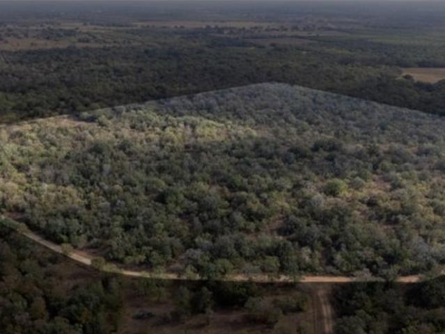 Land for sale in Nixon, Texas