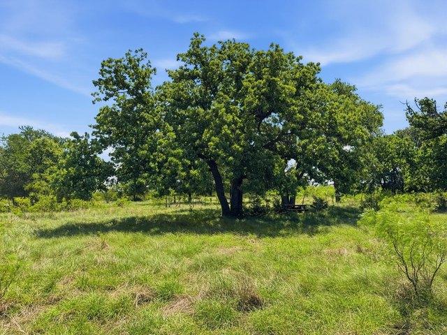 Land for sale in Evant, Texas