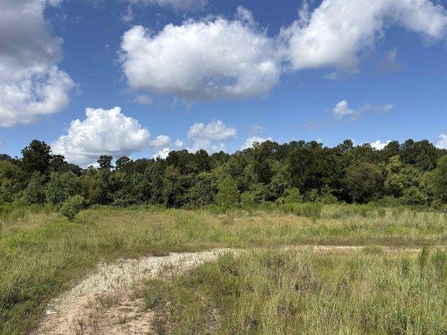 Land for sale in Jasper, Texas