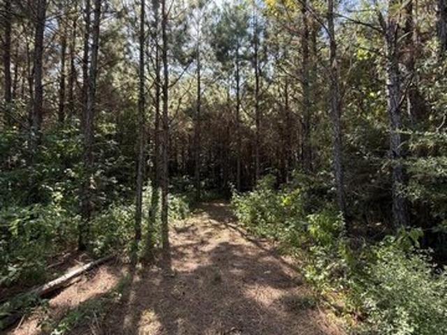 Land for sale in Broaddus, Texas