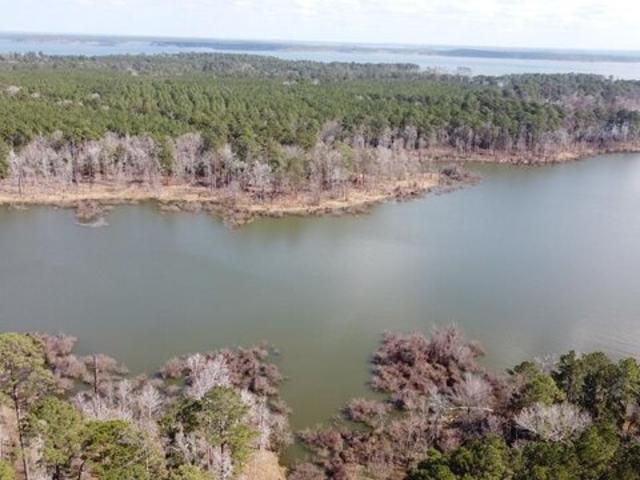 Land for sale in Broaddus, Texas
