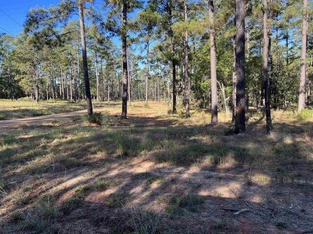 Land for sale in Brookeland, Texas