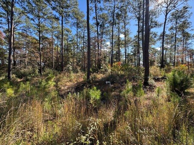 Land for sale in Brookeland, Texas