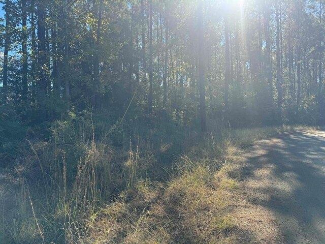 Land for sale in Brookeland, Texas