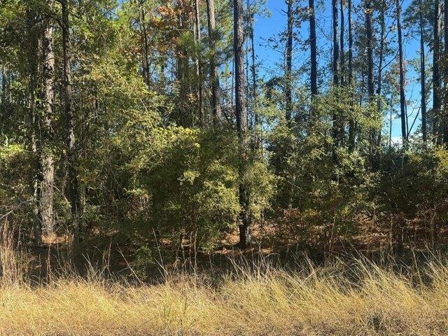 Land for sale in Brookeland, Texas