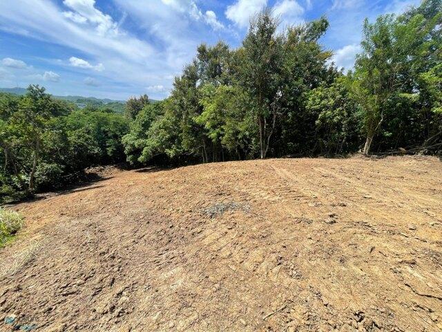 Land for sale