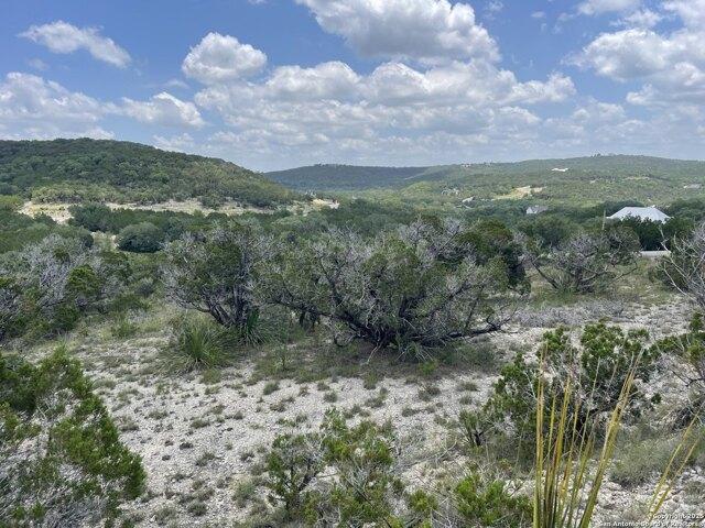 Land for sale in Mico, Texas