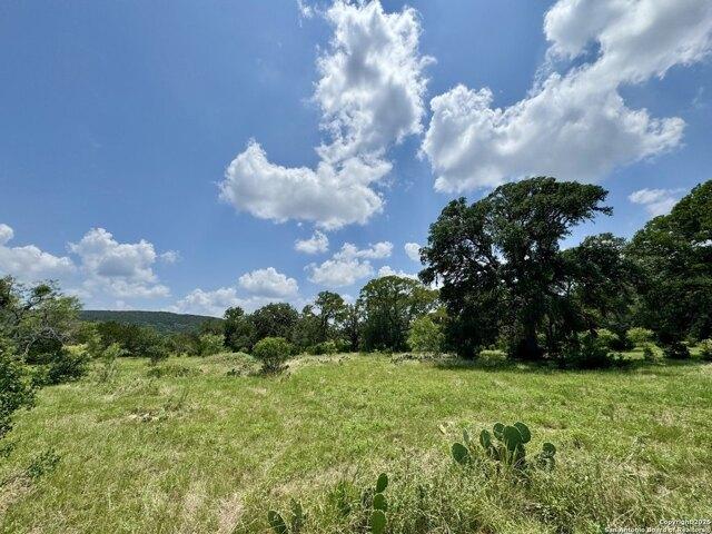 Land for sale in Mico, Texas