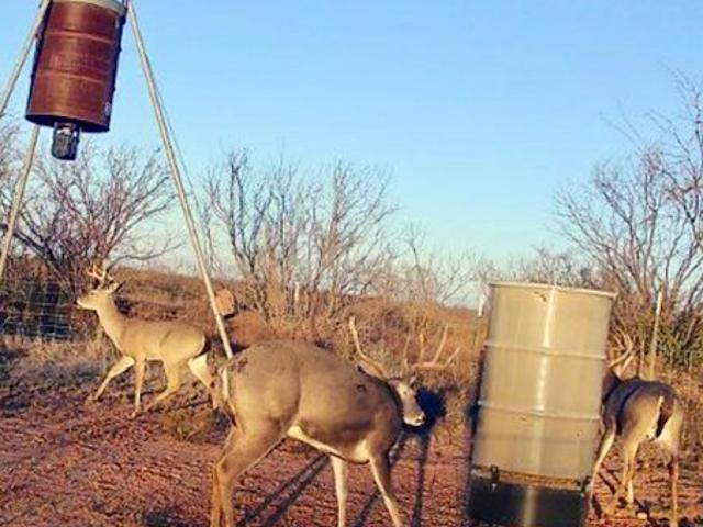 Land for sale in Taylor, Texas