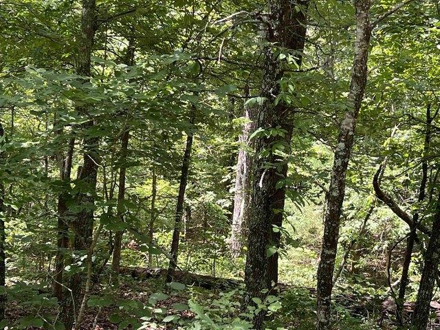Land for sale in Ark