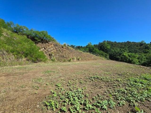 Land for sale in Rincon