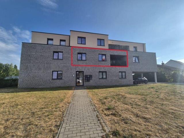 Kot location à Wichelen, Oost-Vlaanderen