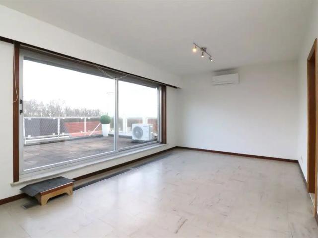 Kot location à Montaigu-zichem, Brabant