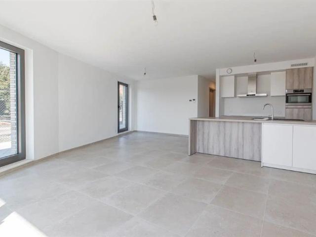 Appartement location à Sint-gillis-waas, Oost-Vlaanderen
